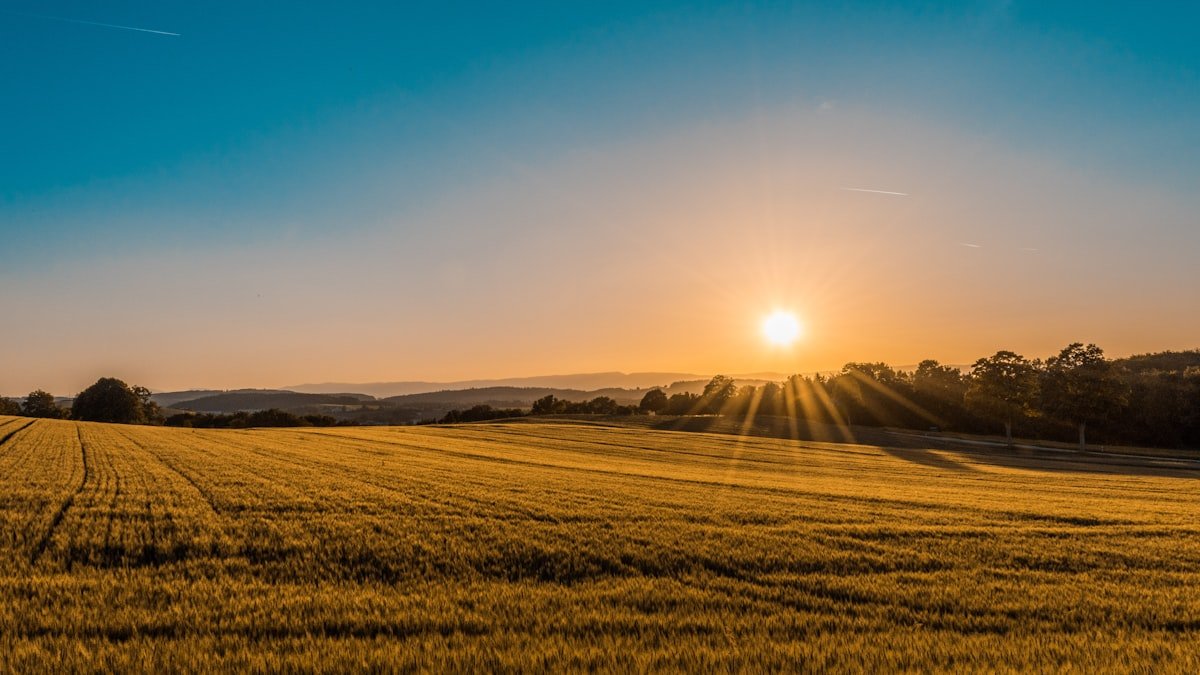 Looking to Buy Land?