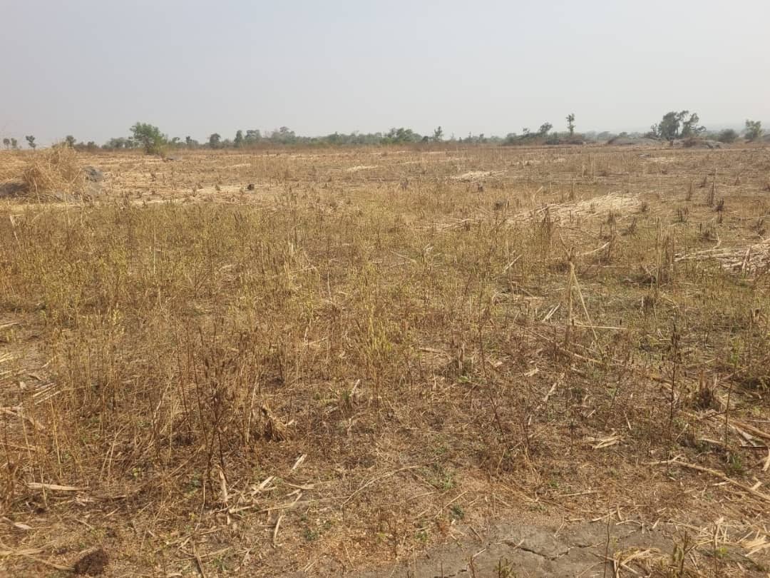 Dry Land - Image 2